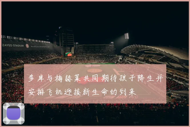 多库与梅赫莱共同期待孩子降生并安排飞机迎接新生命的到来